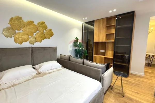 Shtepi ne shitje Apartament ne Tirane, Garsoniere, Mobilimi E mobiluar, Pagesa 139,000  Euro.