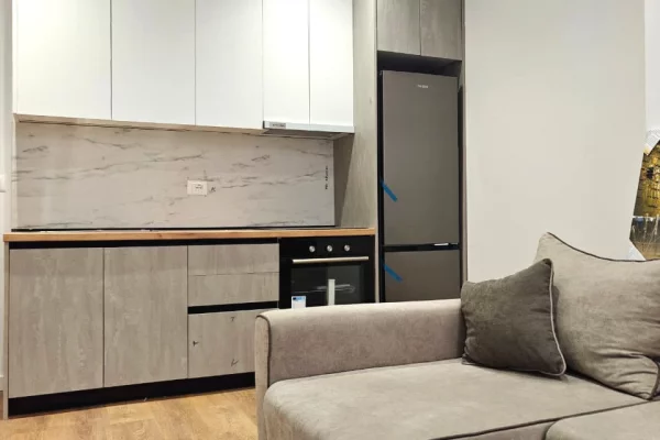 Shtepi ne shitje 1+1 ne Tirane - 125,000 Euro