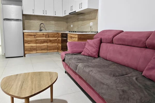 Shtepi me qera 1+1 ne Tirane - 40,000 Leke