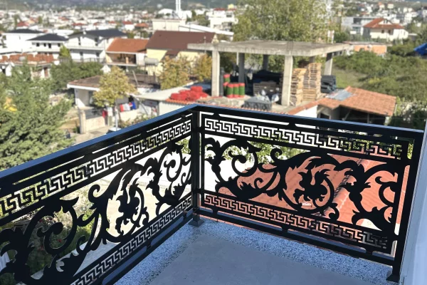 Professional Services in Tirana - 110 Euro