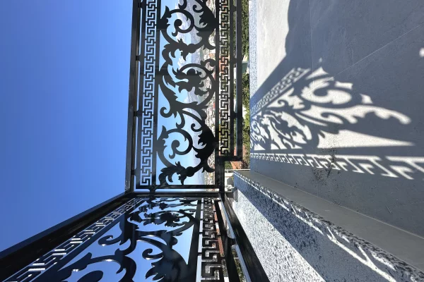 Professional Services in Tirana - 110 Euro