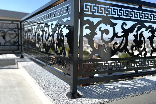 Professional Services in Tirana - 110 Euro