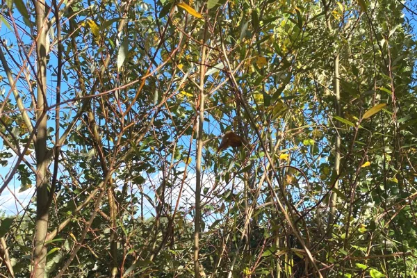 Different articles in Lushnje - 100,150 Leke