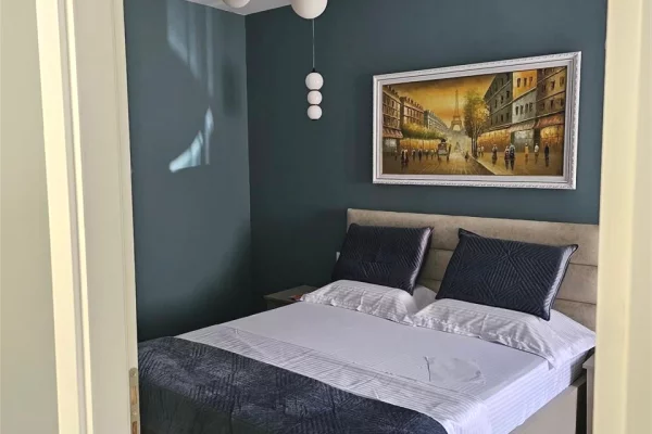 Shtepi me qera Apartament ne Tirane, 1+1, Mobilimi E mobiluar, Pagesa 700  Euro.