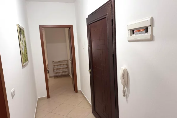 House for Rent 1+1 in Tirana - 450 Euro