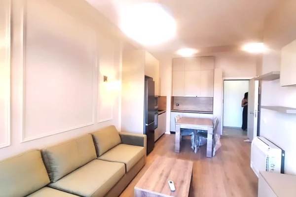 Shtepi ne shitje Apartament ne Tirane, 1+1, Mobilimi E mobiluar, Pagesa 145,000  Euro.