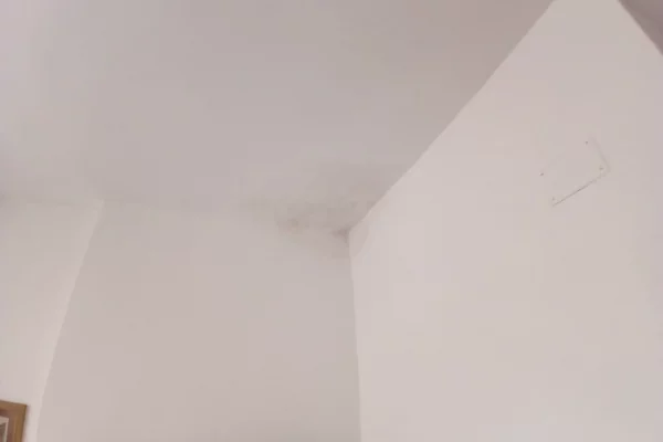 Shtepi me qera Apartament ne Tirane, 2+1, Mobilimi E mobiluar, Pagesa 65,000  Leke.