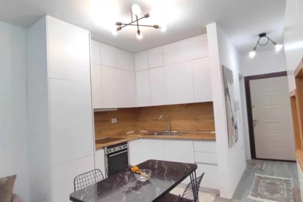 Shtepi me qera 1+1 ne Tirane - 450 Euro