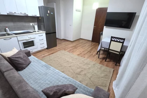 Shtepi me qera Apartament ne Tirane, 1+1, Mobilimi E mobiluar, Pagesa 430,000  Leke.