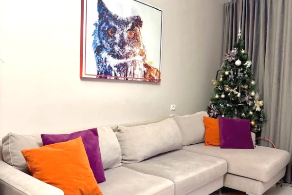 Apartment for sale in Tirana 1+1, Furnished