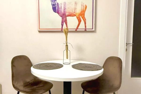 Apartment for sale in Tirana 1+1, Furnished