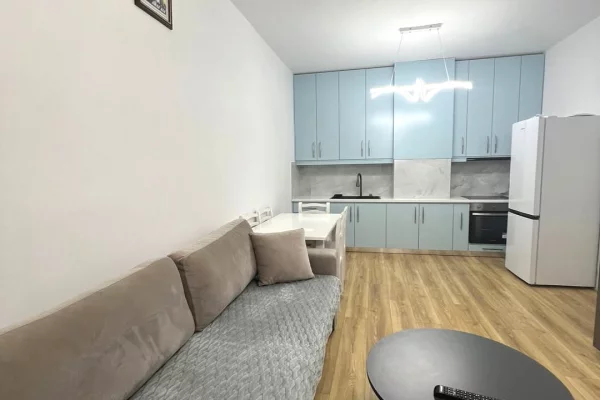 Shtepi me qera Apartament ne Tirane, 1+1, Mobilimi E mobiluar, Pagesa 600  Euro.