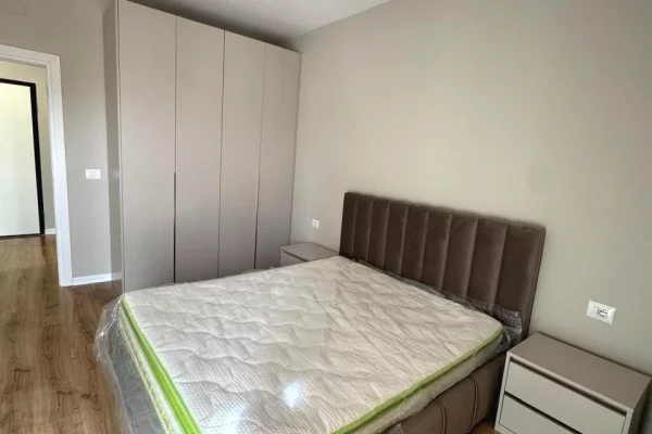 Shtepi me qera Apartament ne Tirane, 1+1, Mobilimi E mobiluar, Pagesa 600  Euro.