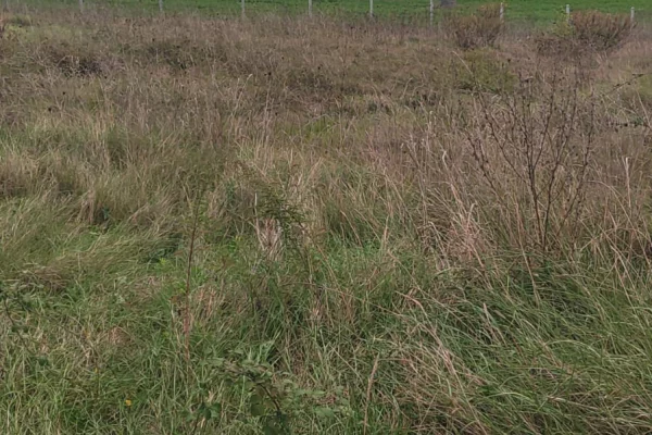 Land for Sale in Tirana - 80,000 Euro