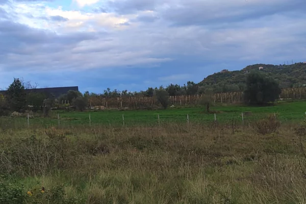 Toke ne shitje – Katund i Ri, Kashar