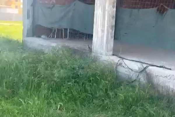 Shtepi ne shitje Shtepi Private ne Tirane, 3+1, Mobilimi Bosh, pa mobiluar, Pagesa 250,000  Euro.