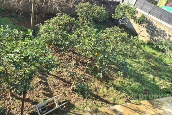 Shtepi ne shitje Apartament ne Tirane, 3+1, Mobilimi Pjeserisht e mobiluar, Pagesa 600,000  Euro.