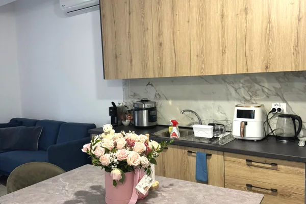 Shtepi me qera Apartament ne Tirane, 1+1, Mobilimi E mobiluar, Pagesa 400  Euro.