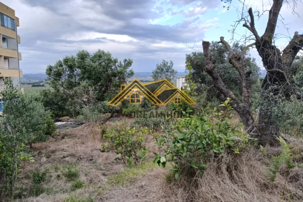 Truall ose Toke ne Durres - 120,000 Euro