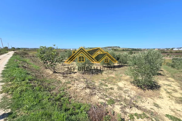 Truall ose Toke ne Durres - 150,000 Euro