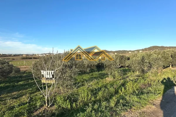 Truall ose Toke ne Durres - 150,000 Euro