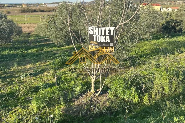 Truall ose Toke ne Durres - 150,000 Euro