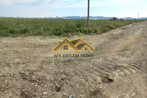 SHITET TOKE NE BISHT KAMEZ DURRES