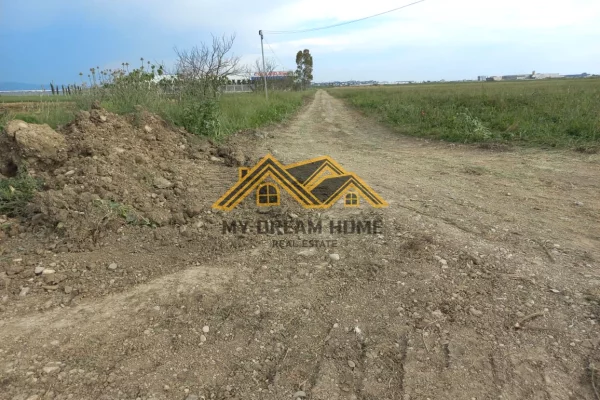 SHITET TOKE NE BISHT KAMEZ DURRES