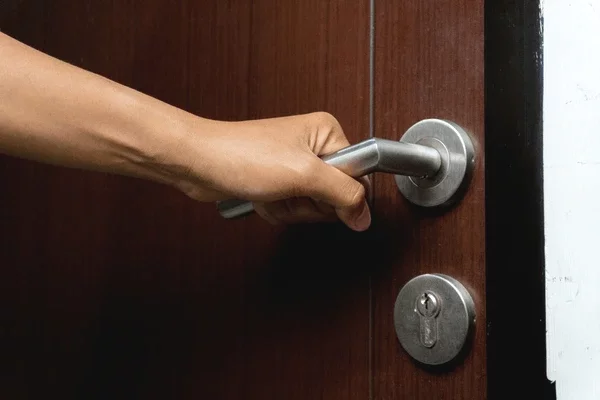 Professional Services in Vlora - 0 