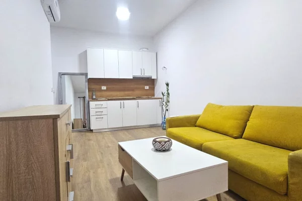 Shtepi me qera 1+1 ne Tirane - 550 Euro