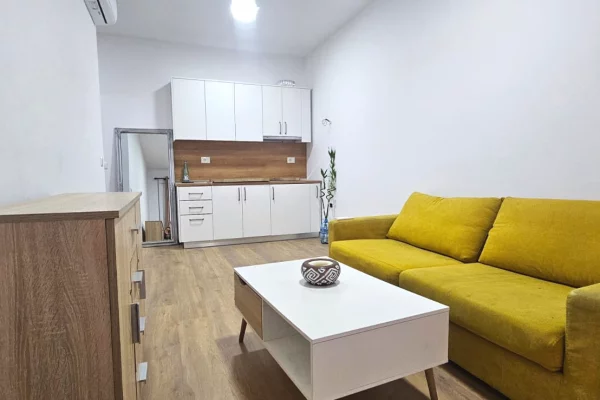 Shtepi me qera 1+1 ne Tirane - 550 Euro