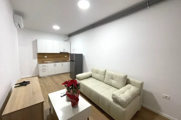 House for Rent 1+1 in Tirana - 55,000 Leke