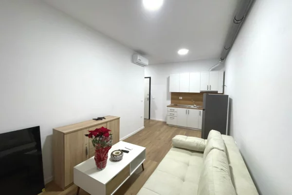 House for Rent 1+1 in Tirana - 55,000 Leke