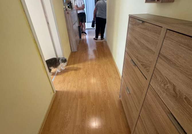 Shtepi ne shitje Apartament ne Tirane, 2+1, Mobilimi E mobiluar, Pagesa 170,000  Euro.