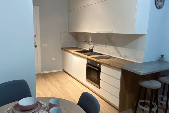 Shtepi me qera 1+1 ne Tirane - 550 Euro