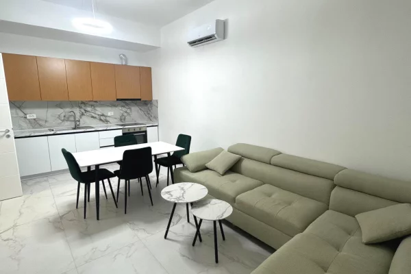 Shtepi me qera 1+1 ne Tirane - 450 Euro