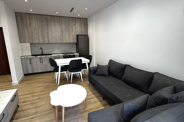 Shtepi me qera 1+1 ne Tirane - 450 Euro