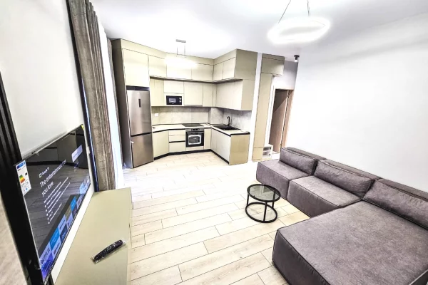 Shtepi me qera Apartament ne Tirane, 1+1, Mobilimi E mobiluar, Pagesa 550  Euro.