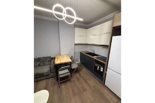 Shtepi me qera Apartament ne Tirane, 1+1, Mobilimi E mobiluar, Pagesa 400  Euro.