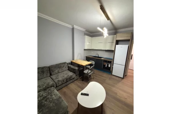 Shtepi me qera Apartament ne Tirane, 1+1, Mobilimi E mobiluar, Pagesa 400  Euro.