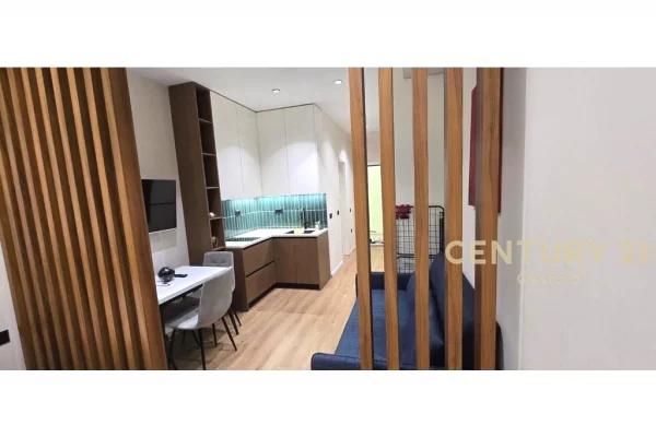 Shtepi me qera Apartament ne Tirane, 1+1, Mobilimi E mobiluar, Pagesa 550  Euro.