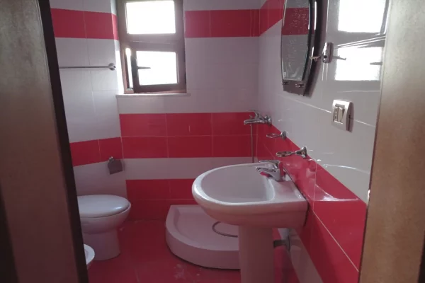 Shtepi ne shitje 1+1 ne Tirane - 125,000 Euro