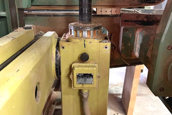 OKAZION - Freze Druri + Gonjaster Franceze !