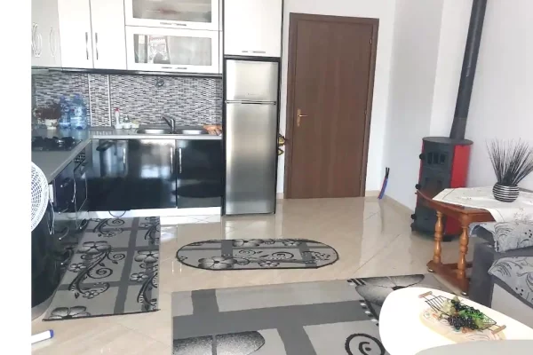 Shtepi ne shitje 1+1 ne Pogradec - 100,000 Euro