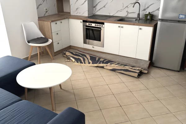 Shtepi me qera Apartament ne Tirane, 1+1, Mobilimi E mobiluar, Pagesa 450  Euro.