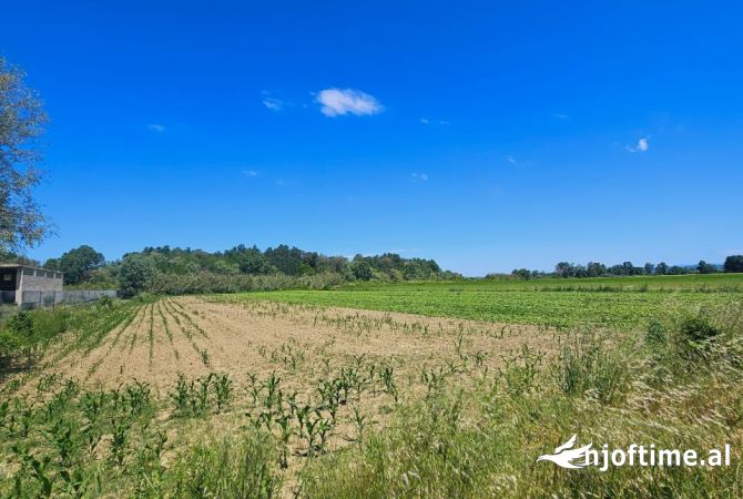 Truall ose Toke  ne Durres - 85,000 Euro