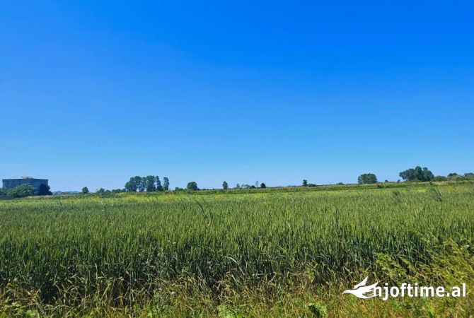 TOKE PER SHITJE NE FSHATIN JUBE, DURRES
