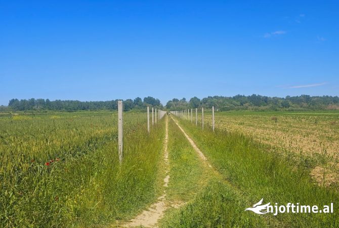 TOKE PER SHITJE NE FSHATIN JUBE, DURRES