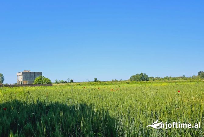 TOKE PER SHITJE NE FSHATIN JUBE, DURRES