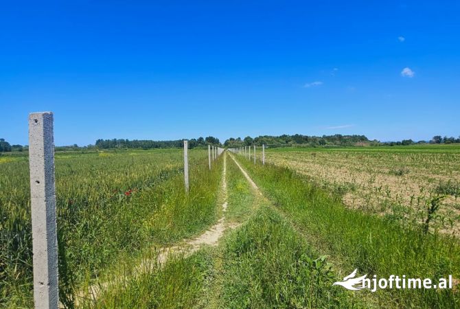 TOKE PER SHITJE NE FSHATIN JUBE, DURRES